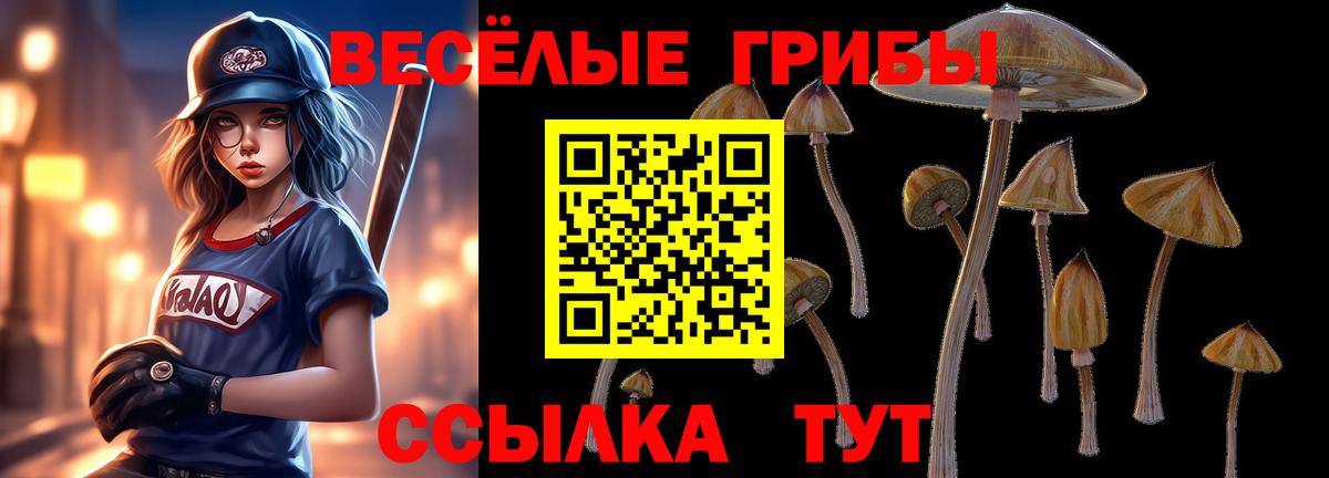Псилоцибиновые грибы Psilocybine cubensis  Вход с VPN  Можайск 